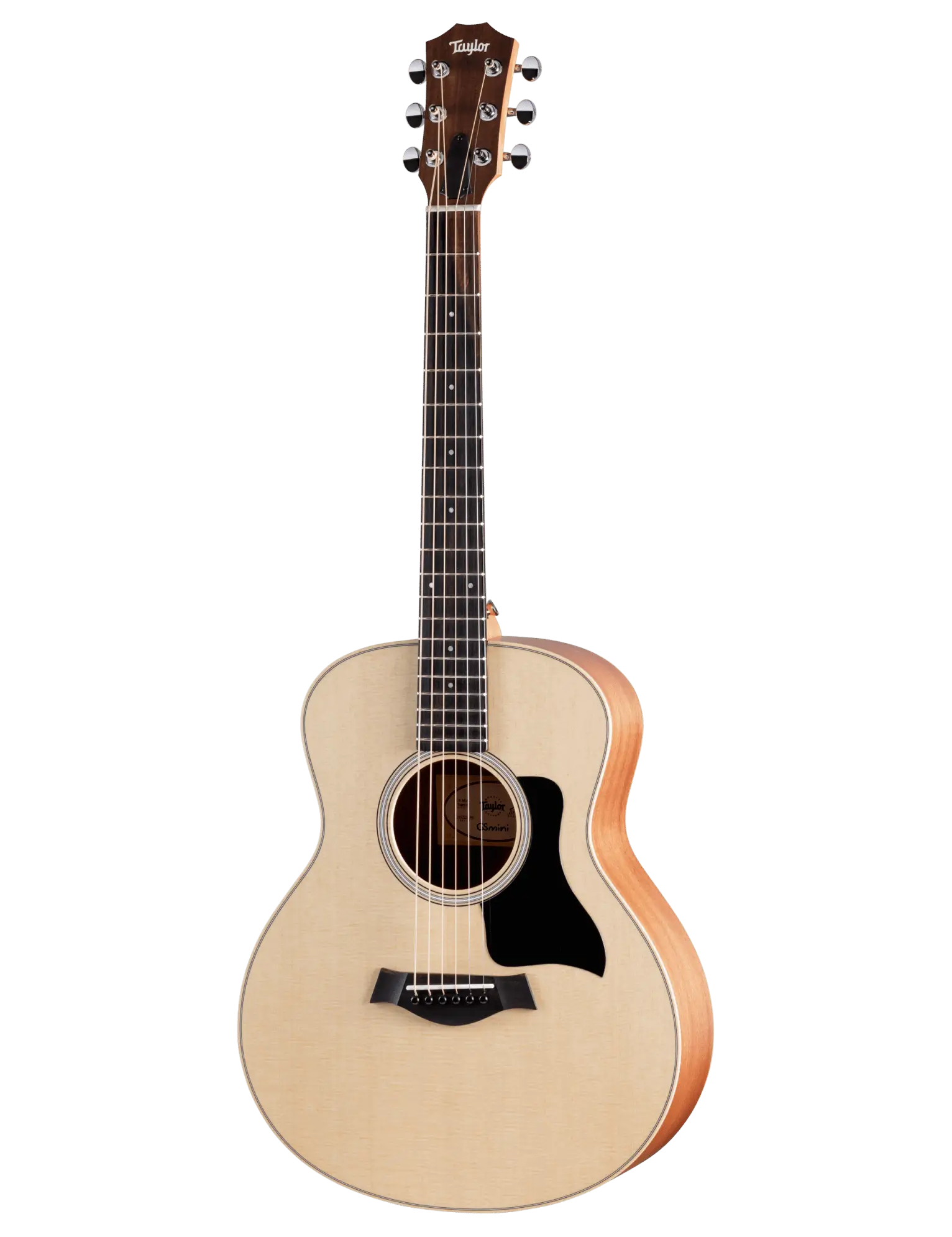 GS_MINI_SAPELE.webp