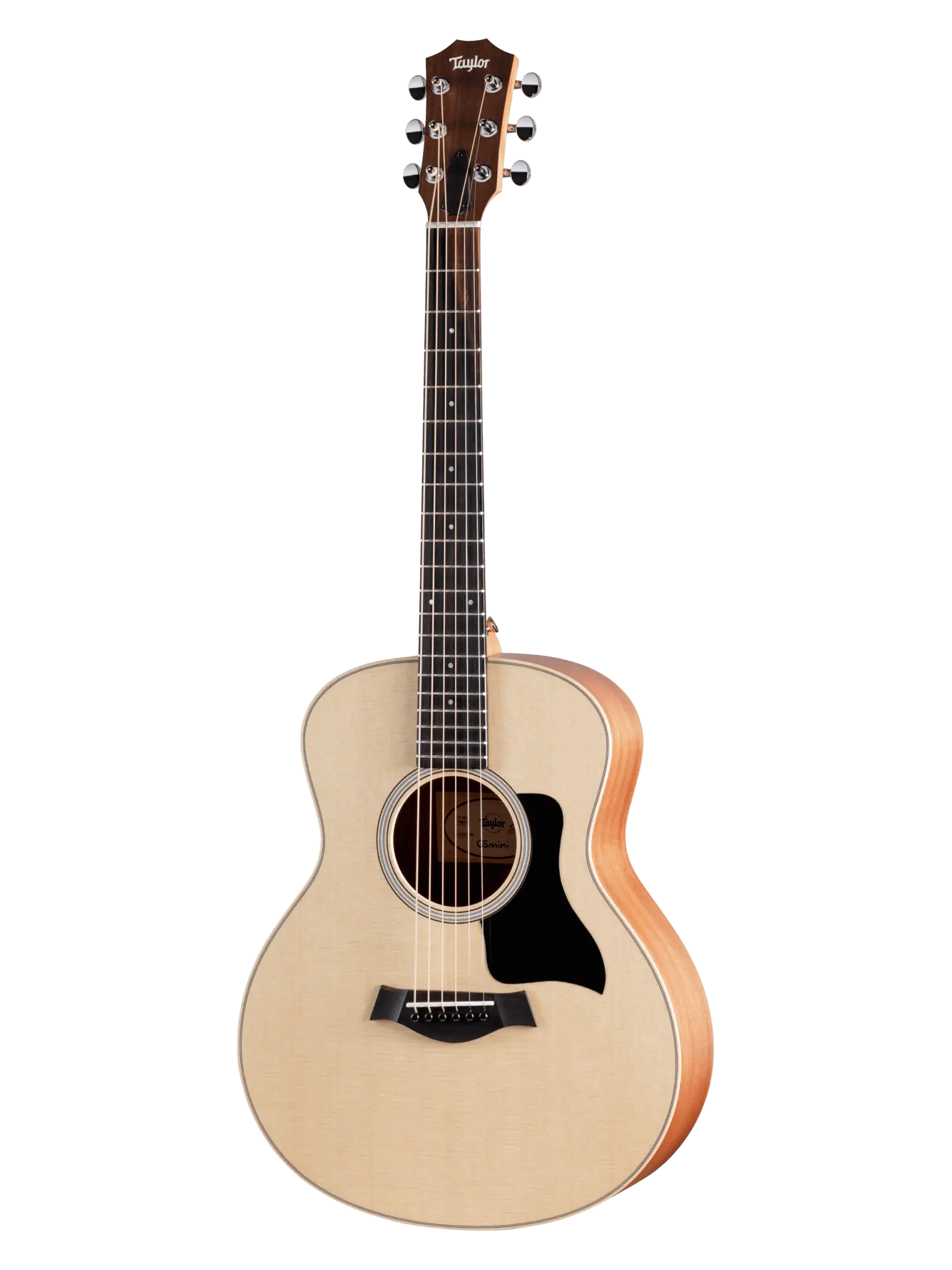 GS Mini Sapele