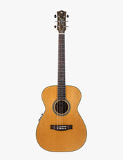 Maton Master Built TE Personal