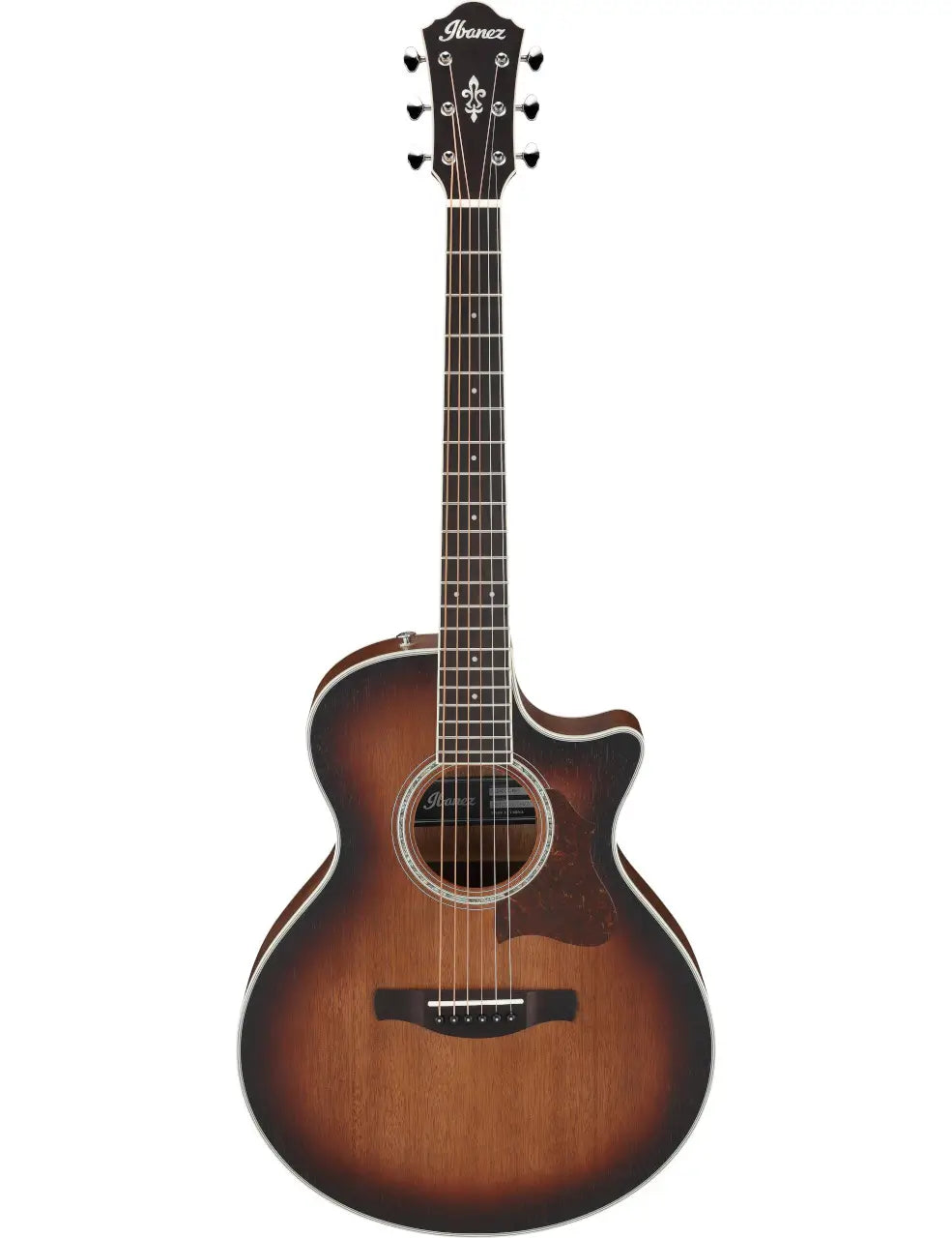 Ibanez AE240JR