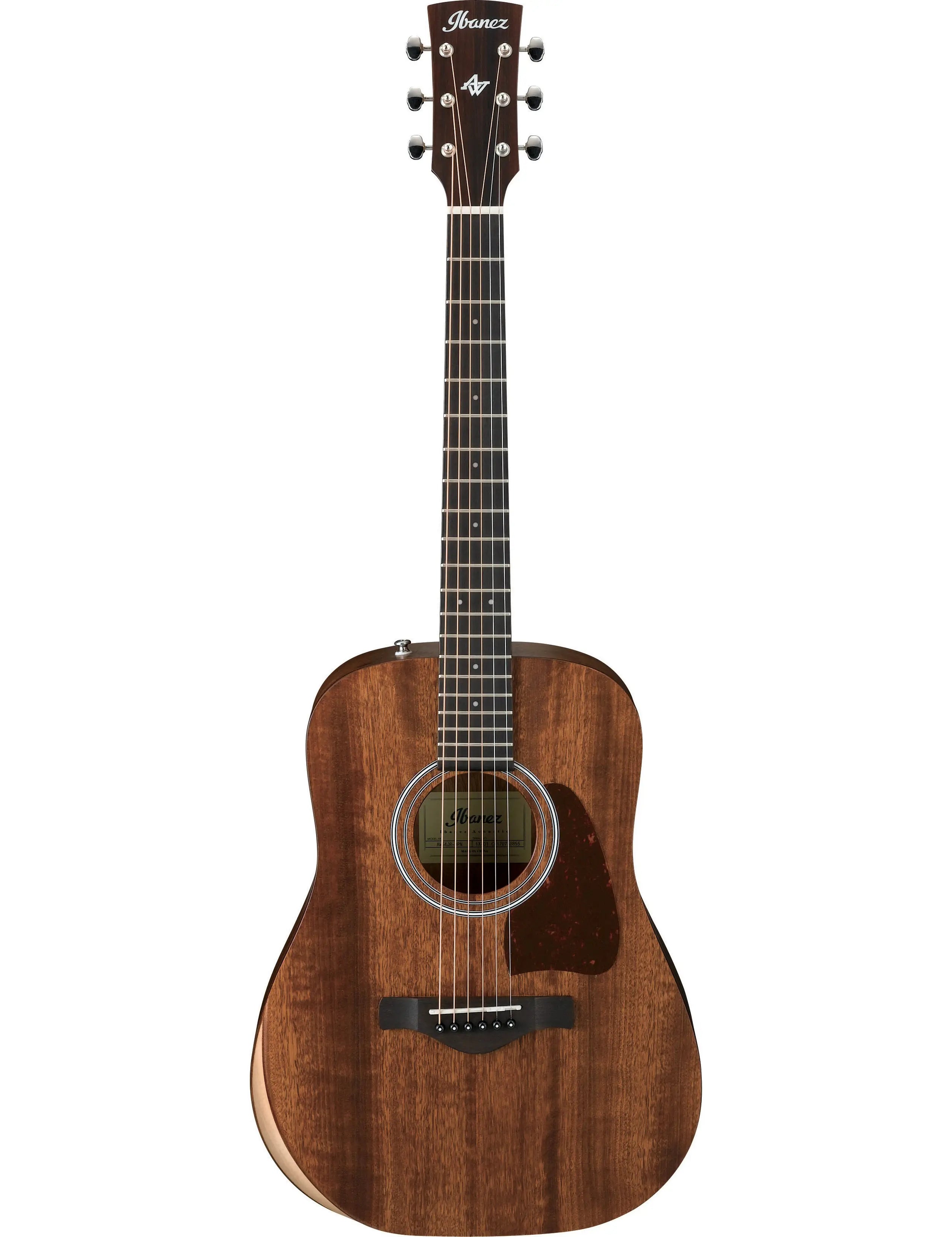 Ibanez AW54JR