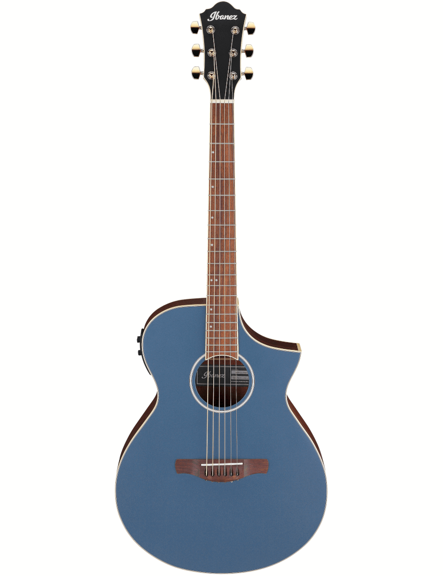 Ibanez AEWC12