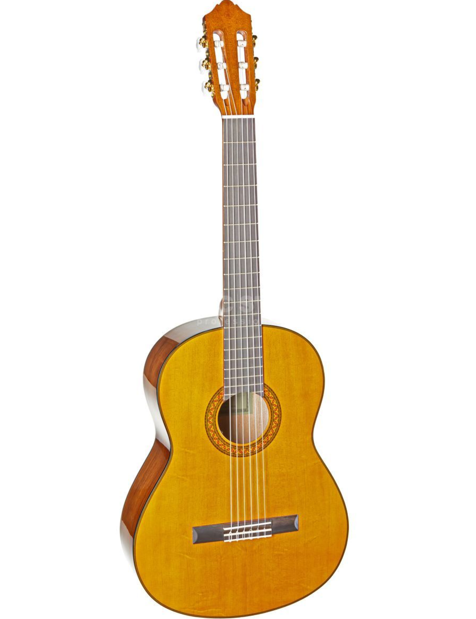 yamaha-c70-classical-guitar-_1_GIT0004212-000.png